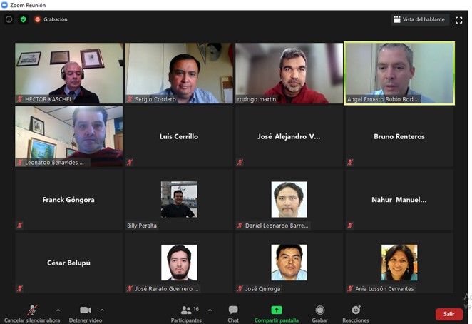 Captura de Pantalla de una reunión Zoom con miniaturas de las imágenes de múltiples asistentes